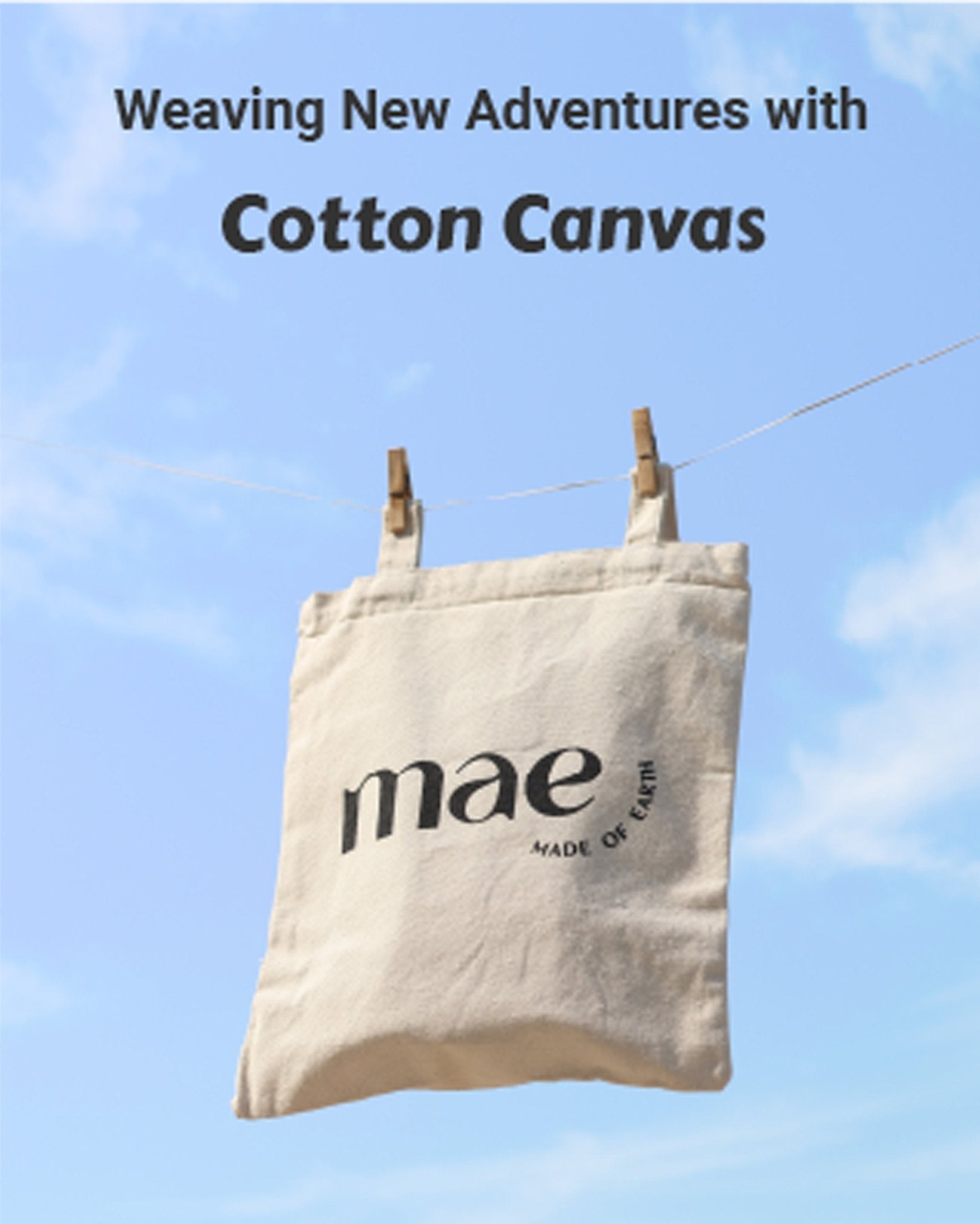Shop Canvas Tote Bags Online at Best Price Mae - Main Image