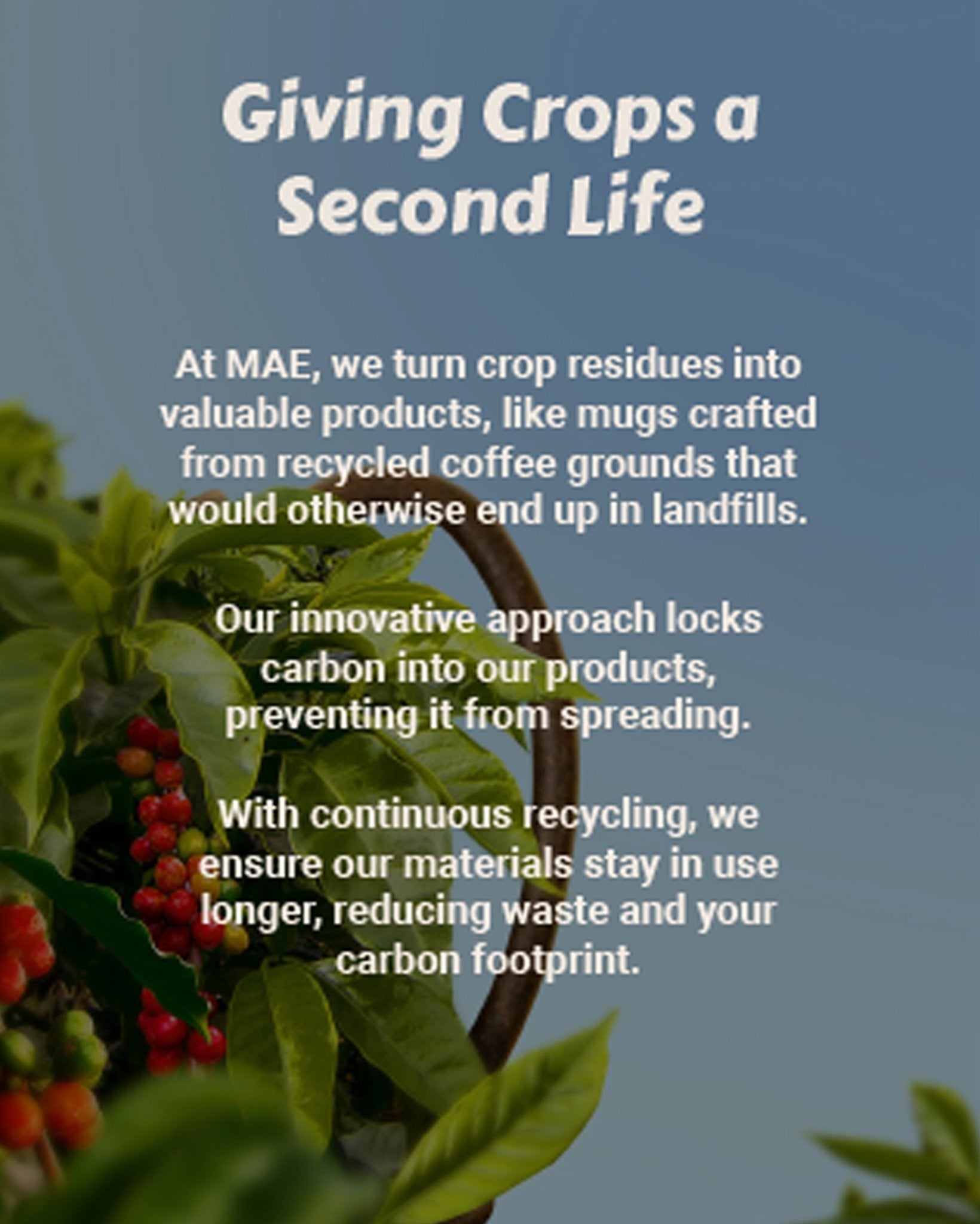 #mae_m1# - #mae.in# - #m1# - #mae# - #mug# - #made - of earth# - Coffee Craft Mug -