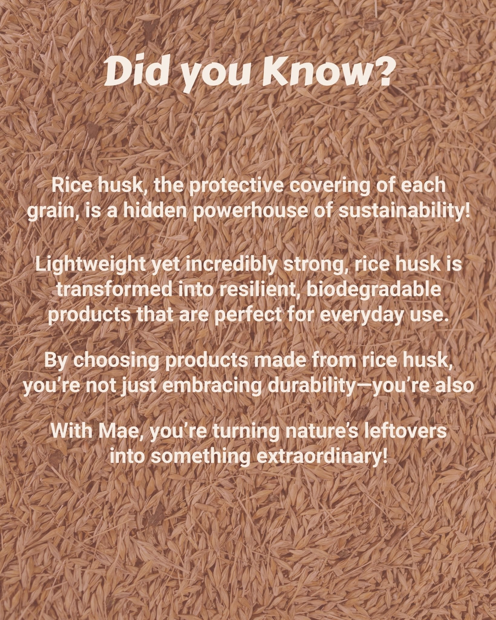 #mae_m1# - #mae.in# - #m1# - #mae# - #mug# - #made - of earth# - Rice Husk Mug -